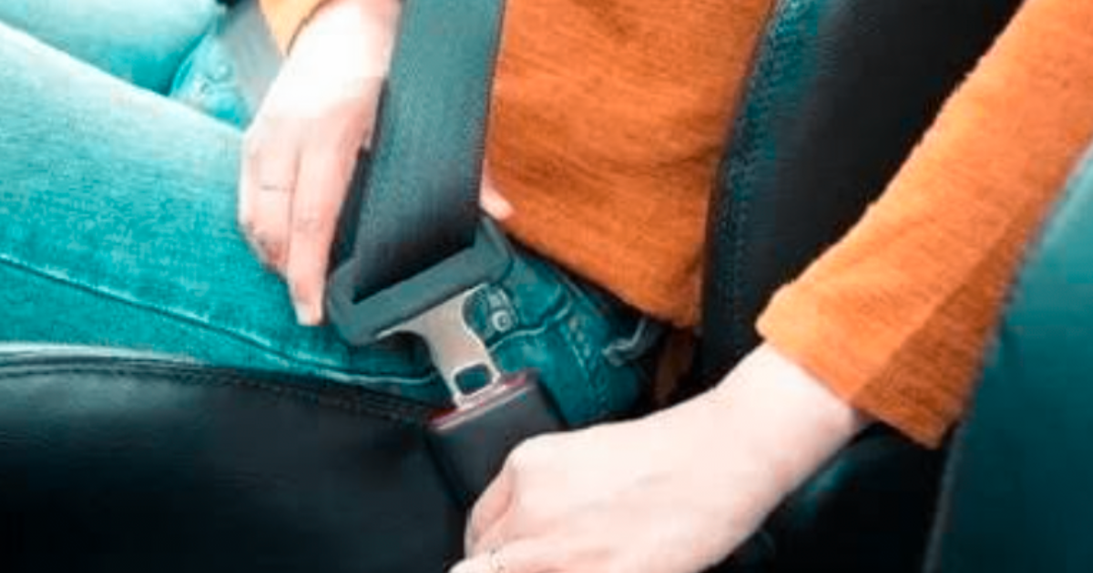 Seat belt 1