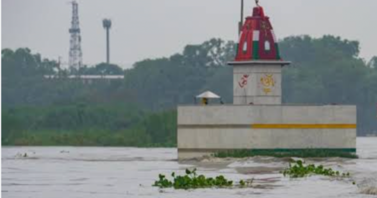 yamuna w