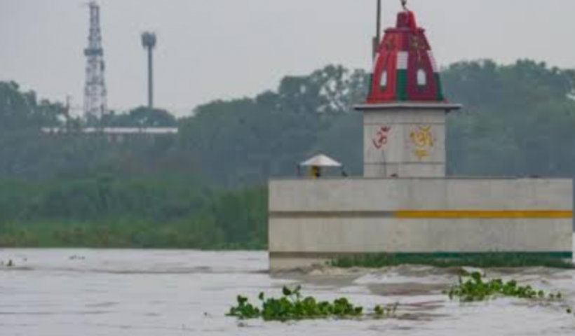 yamuna w